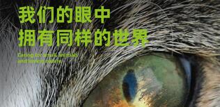 十大內刊版式設計方法